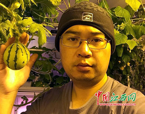 China baut erfolgreich Gemüse in Antarktis an