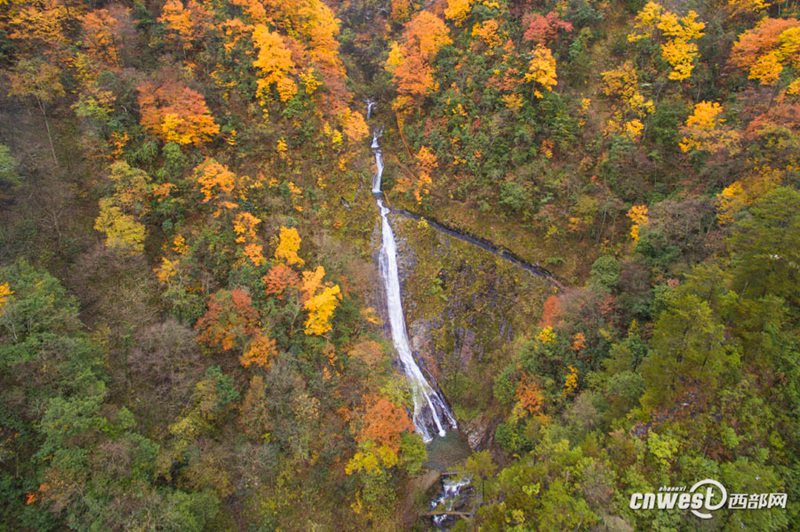 Farbiger Herbst in der Feidu-Schlucht