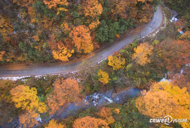 Farbiger Herbst in der Feidu-Schlucht