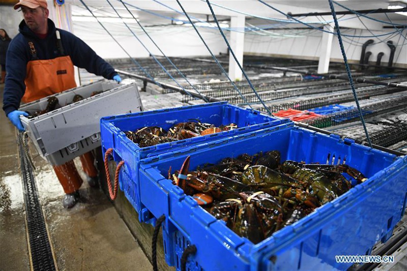 US-Hummer-Exporte nach China steigen
