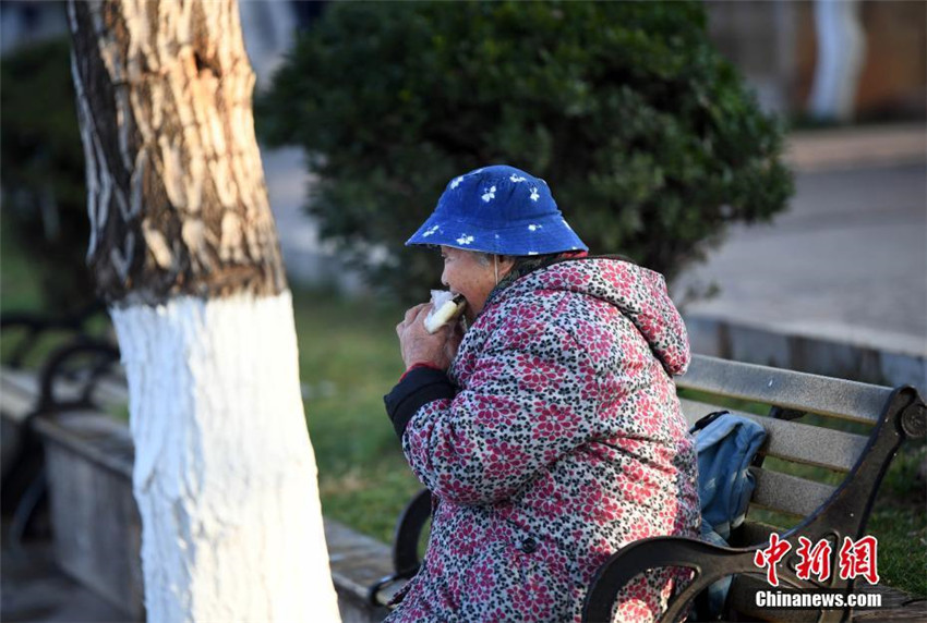 Kunming: 88-J?hrige füttert seit 30 Jahren M?wen mit Selbstgemachtem