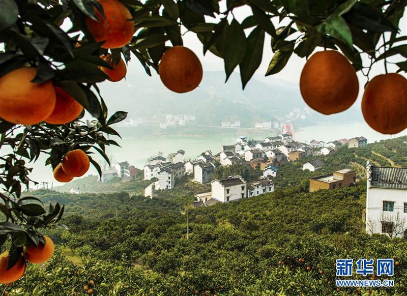 Chinas Heimatstadt der Orangen