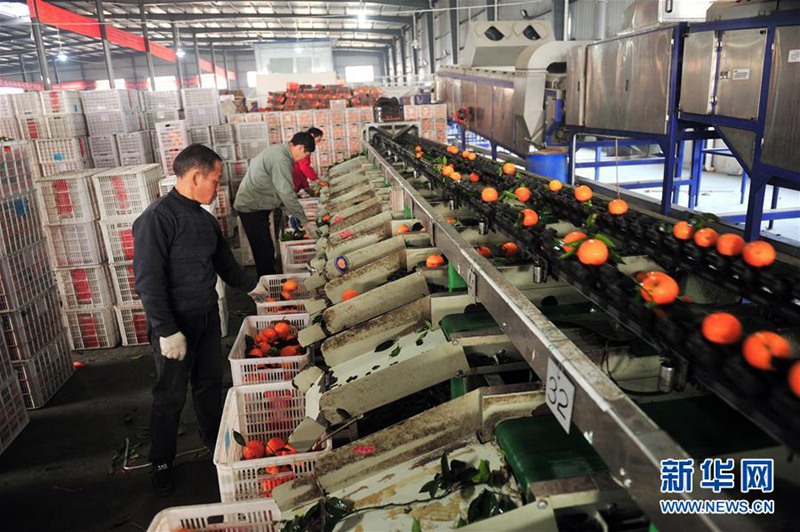 Chinas Heimatstadt der Orangen