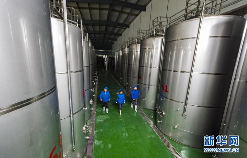 Chinas Heimatstadt der Orangen