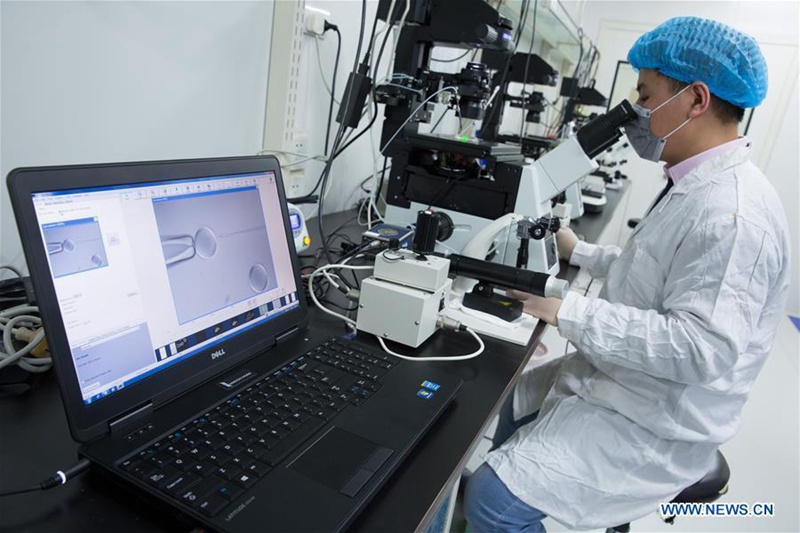 Chinesische Wissenschaftler klonen erfolgreich einen Affen