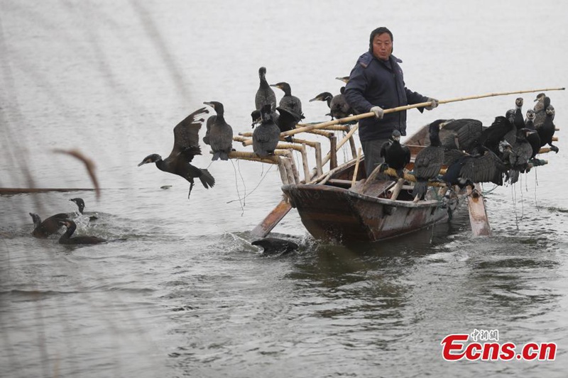 Winterfischen im Osten