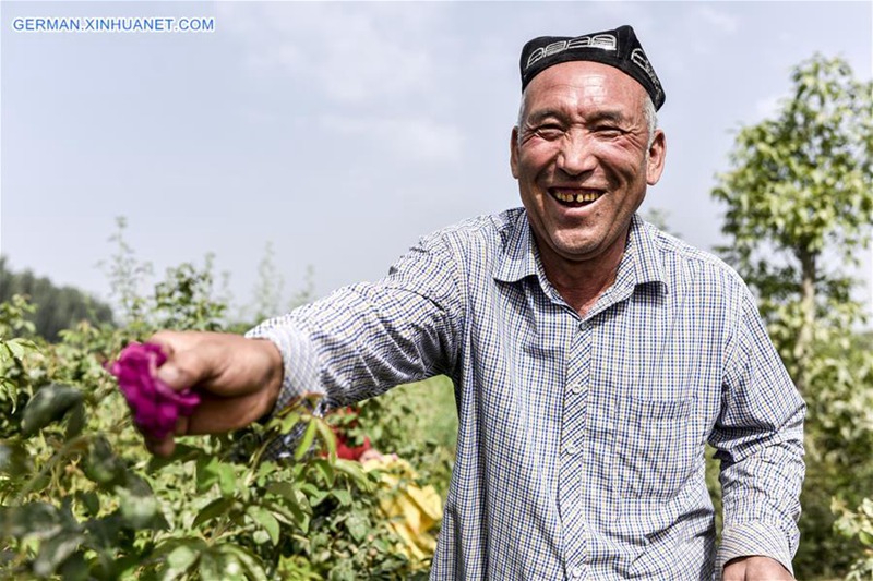 Leute verdienen durch Herstellung von Rosenso?e in Xinjiang
