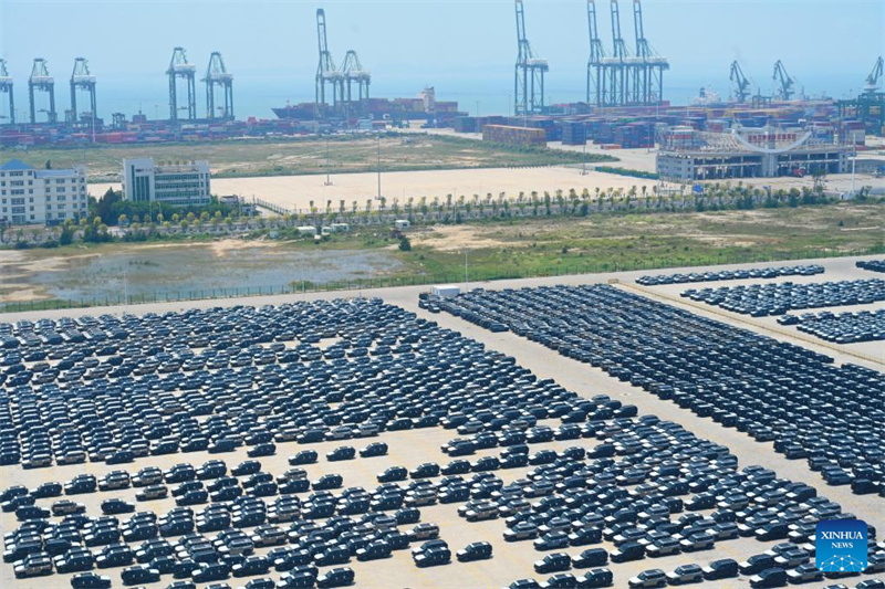 Fujian f?rdert den Bau und die Entwicklung von Küstenh?fen